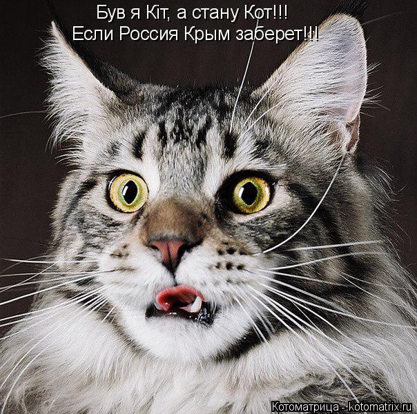 Був я Кіт, а стану Кот!!! Если Россия Крым заберет!!!... Котоматрица: Був я Кіт, а стану Кот!!! Если Россия Крым заберет!!!