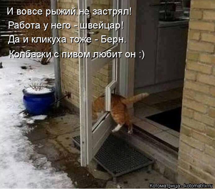 И вовсе рыжий не застрял! Работа у него - швейцар! Колбаски с пивом любит он :) Да и кликуха тоже - Б... Котоматрица: И вовсе рыжий не застрял! Работа у него - швейцар! Колбаски с пивом любит он :) Да и кликуха тоже - Берн.