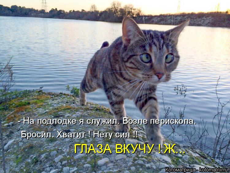 - На подлодке я служил. Возле перископа. Бросил. Хватит ! Нету сил !! ГЛАЗА ВКУЧУ ! Ж...... Котоматрица: - На подлодке я служил. Возле перископа. Бросил. Хватит ! Нету сил !! ГЛАЗА ВКУЧУ ! Ж...