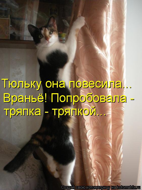 Тюльку она повесила... Враньё! Попробовала - тряпка - тряпкой...... Котоматрица: Тюльку она повесила... Враньё! Попробовала - тряпка - тряпкой...