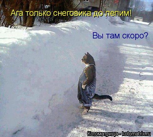 Вы там скоро? Ага только снеговика до лепим!... Котоматрица: Вы там скоро? Ага только снеговика до лепим!