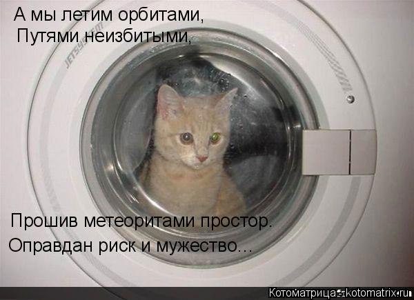 А мы летим орбитами, Пyтями неизбитыми, Прошив метеоритами простор. Оправдан риск и мyжество…... Котоматрица: А мы летим орбитами, Пyтями неизбитыми, Прошив метеоритами простор. Оправдан риск и мyжество…