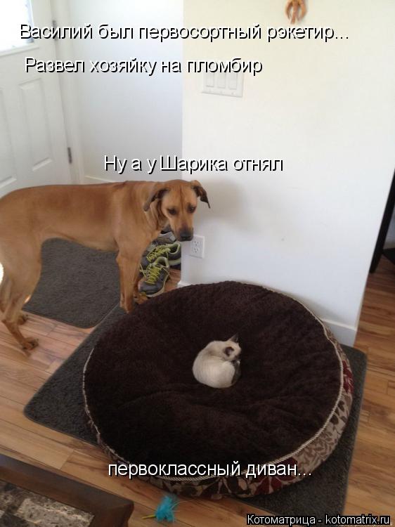 Василий был первосортный рэкетир... Развел хозяйку на пломбир Ну а у Шарика отнял первоклассный диван... Котоматрица: Василий был первосортный рэкетир... Развел хозяйку на пломбир Ну а у Шарика отнял первоклассный диван...