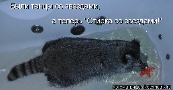 Котоматрица: Были танцы со звездами,  а теперь "Стирка со звездами!"