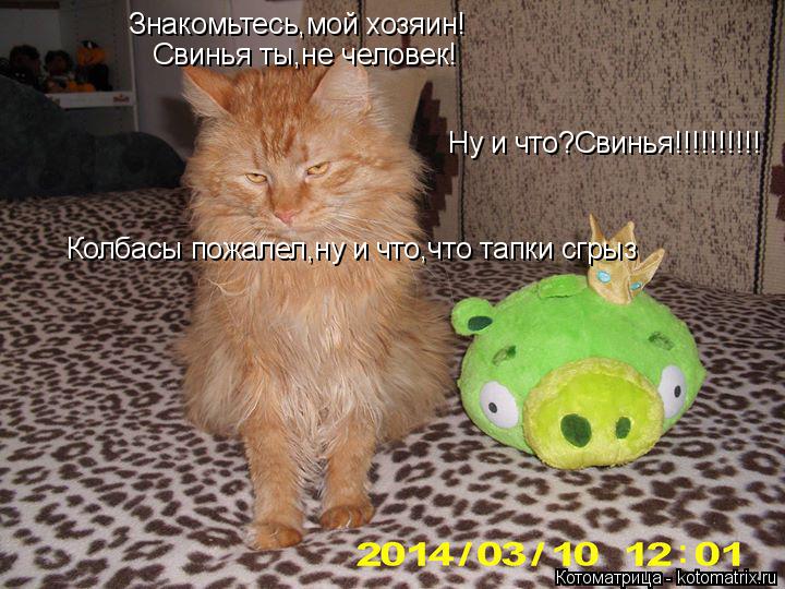 Знакомьтесь,мой хозяин! Свинья ты,не человек! Колбасы пожалел,ну и что,что тапки сгрыз Ну и что?Свинь... Котоматрица: Знакомьтесь,мой хозяин! Свинья ты,не человек! Колбасы пожалел,ну и что,что тапки сгрыз Ну и что?Свинья!!!!!!!!!!
