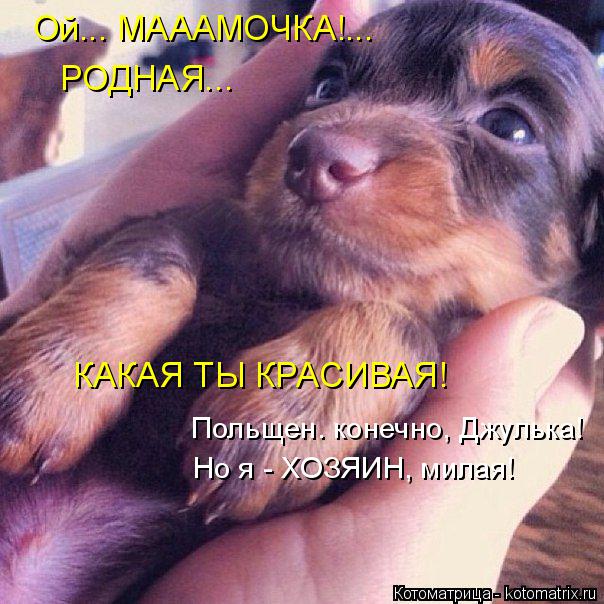 КАКАЯ ТЫ КРАСИВАЯ! Польщен. конечно, Джулька! Но я - ХОЗЯИН, милая! Ой... МАААМОЧКА!... РОДНАЯ...... Котоматрица: КАКАЯ ТЫ КРАСИВАЯ! Польщен. конечно, Джулька! Но я - ХОЗЯИН, милая! Ой... МАААМОЧКА!... РОДНАЯ...