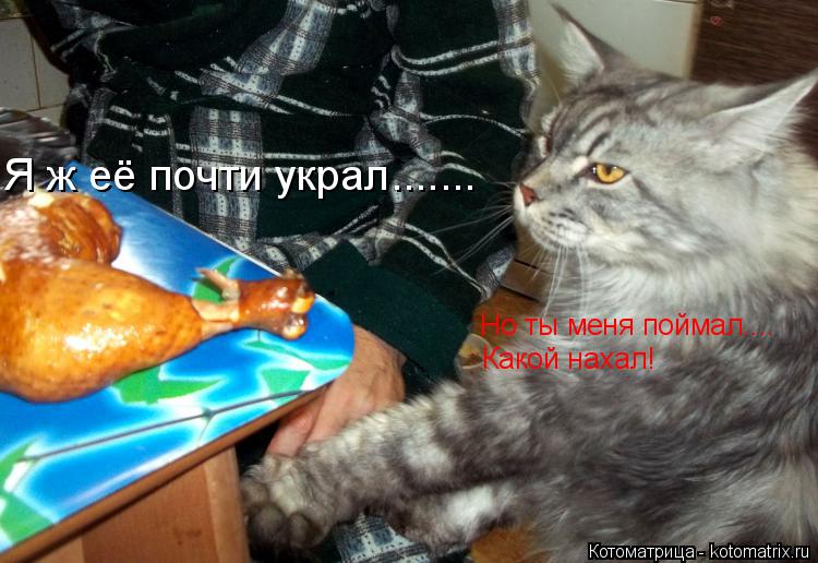 Котоматрица: Я ж её почти украл....... Но ты меня поймал.... Какой нахал!