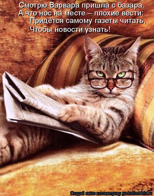 Смотрю Варвара пришла с базара. А что нос на месте – плохие вести: Чтобы новости узнать! Придётся сам... Котоматрица: Смотрю Варвара пришла с базара. А что нос на месте – плохие вести: Чтобы новости узнать! Придётся самому газеты читать,