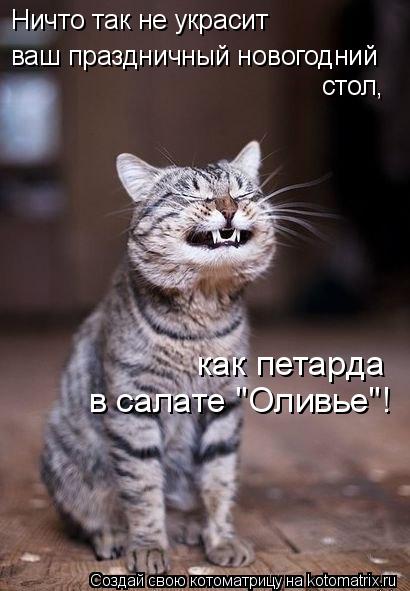 Ничто так не украсит ваш праздничный новогодний стол, как петарда в салате "Оливье"!... Котоматрица: Ничто так не украсит ваш праздничный новогодний стол, как петарда в салате "Оливье"!