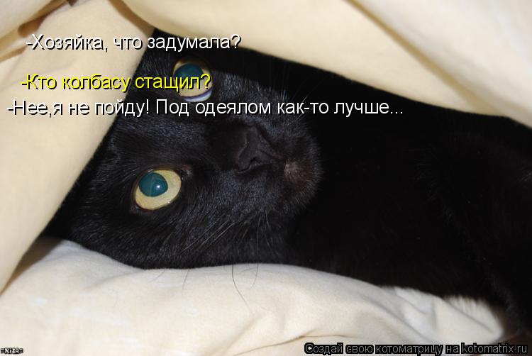 -Хозяйка, что задумала? -Кто колбасу стащил? -Нее,я не пойду! Под одеялом как-то лучше...... Котоматрица: -Хозяйка, что задумала? -Кто колбасу стащил? -Нее,я не пойду! Под одеялом как-то лучше...
