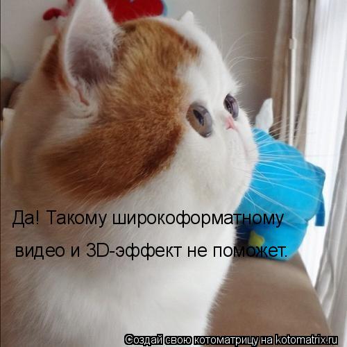 Котоматрица: Да! Такому широкоформатному  видео и 3D-эффект не поможет.