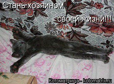 Стань хозяином своей жизни!!!... Котоматрица: Стань хозяином своей жизни!!!