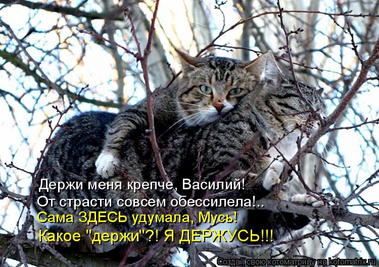 Держи меня крепче, Василий! От страсти совсем обессилела!.. Сама ЗДЕСЬ удумала, Мусь! Какое "держи"?!... Котоматрица: Держи меня крепче, Василий! От страсти совсем обессилела!.. Сама ЗДЕСЬ удумала, Мусь! Какое "держи"?! Я ДЕРЖУСЬ!!!