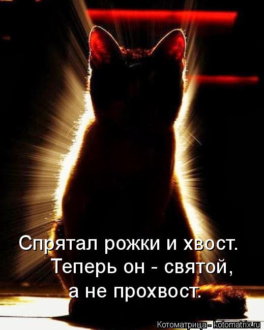 Спрятал рожки и хвост. Теперь он - святой, а не прохвост.... Котоматрица: Спрятал рожки и хвост. Теперь он - святой, а не прохвост.