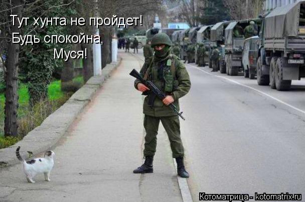 Тут хунта не пройдет! Муся! Будь спокойна,... Котоматрица: Тут хунта не пройдет! Муся! Будь спокойна,