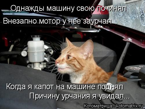 Однажды машину свою починял Внезапно мотор у нее заурчал... Когда я капот на машине поднял Причину ур... Котоматрица: Однажды машину свою починял Внезапно мотор у нее заурчал... Когда я капот на машине поднял Причину урчания я увидал...