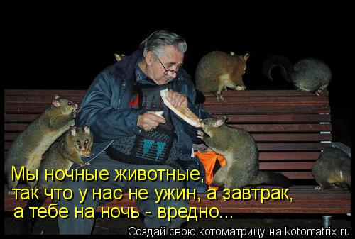 Мы ночные животные, так что у нас не ужин, а завтрак, а тебе на ночь - вредно...... Котоматрица: Мы ночные животные, так что у нас не ужин, а завтрак, а тебе на ночь - вредно...