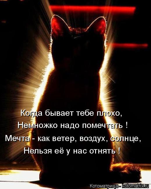 Когда бывает тебе плохо, Немножко надо помечтать ! Нельзя её у нас отнять ! Мечта - как ветер, воздух... Котоматрица: Когда бывает тебе плохо, Немножко надо помечтать ! Нельзя её у нас отнять ! Мечта - как ветер, воздух, солнце,