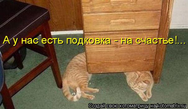 А у нас есть подковка - на счастье!...... Котоматрица: А у нас есть подковка - на счастье!...