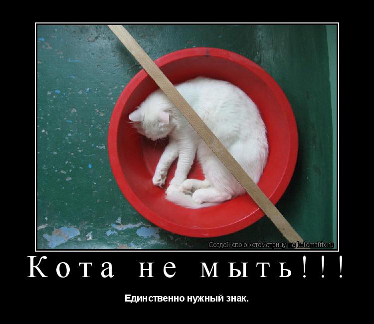 Кота не мыть!!! Единственно нужный знак.... Котоматрица: Кота не мыть!!! Единственно нужный знак.