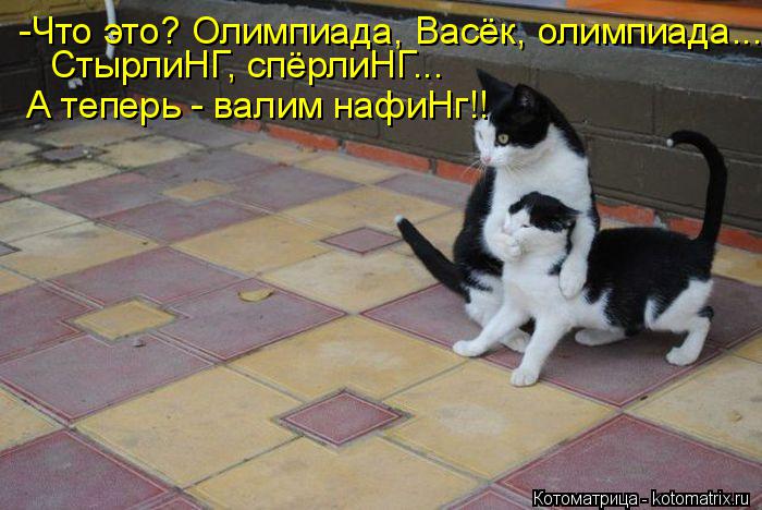 -Что это? Олимпиада, Васёк, олимпиада... СтырлиНГ, спёрлиНГ... А теперь - валим нафиНг!!... Котоматрица: -Что это? Олимпиада, Васёк, олимпиада... СтырлиНГ, спёрлиНГ... А теперь - валим нафиНг!!