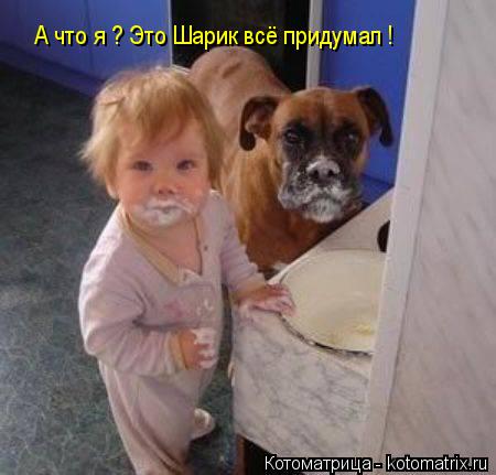 Котоматрица: А что я ? Это Шарик всё придумал !