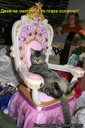 Котоматрица: Даже не смотри! А то глаза ослепнут!
