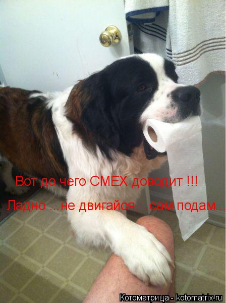 Вот до чего СМЕХ доводит !!! Ладно ...не двигайся....сам подам...... Котоматрица: Вот до чего СМЕХ доводит !!! Ладно ...не двигайся....сам подам...
