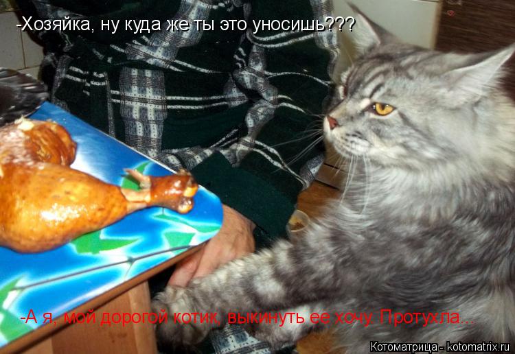 Котоматрица: -Хозяйка, ну куда же ты это уносишь??? -А я, мой дорогой котик, выкинуть ее хочу. Протухла...