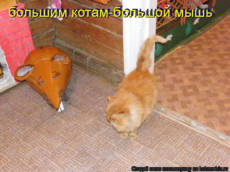 Котоматрица: большим котам-большой мышь большим котам-большой мышь