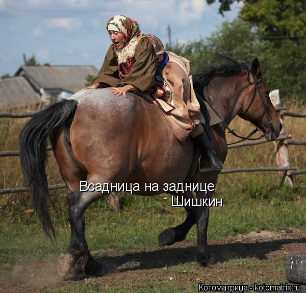 Котоматрица: Всадница на заднице Шишкин