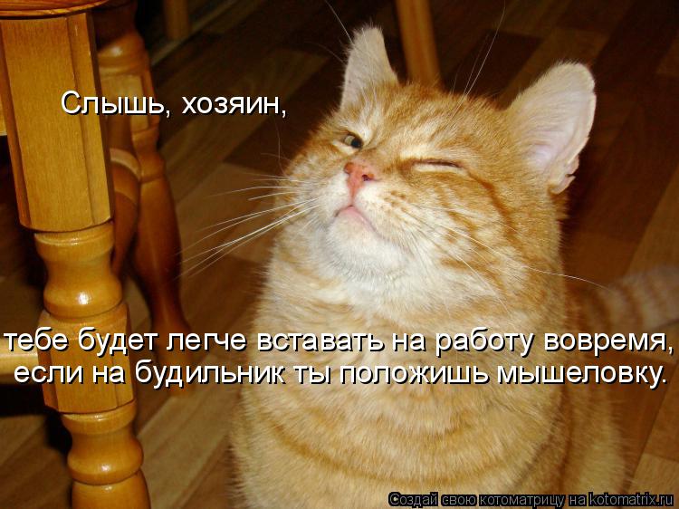 Котоматрица: Слышь, хозяин,   если на будильник ты положишь мышеловку. тебе будет легче вставать на работу вовремя,
