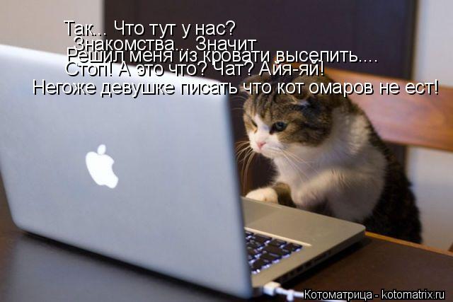 Котоматрица: Так... Что тут у нас? Знакомства... Значит Решил меня из кровати выселить.... Стоп! А это что? Чат? Айя-яй! Негоже девушке писать что кот омаров не 