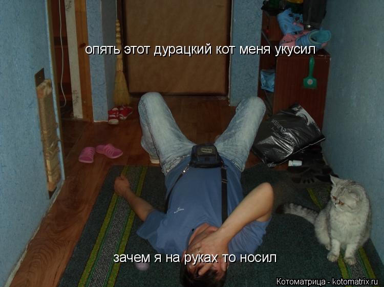 опять этот дурацкий кот меня укусил зачем я на руках то носил... Котоматрица: опять этот дурацкий кот меня укусил зачем я на руках то носил