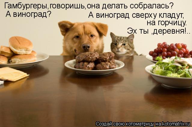 Гамбургеры,говоришь,она делать собралась? А виноград? А виноград сверху кладут, на горчицу. Эх ... Котоматрица: Гамбургеры,говоришь,она делать собралась? А виноград? А виноград сверху кладут, на горчицу. Эх ты ,деревня!..