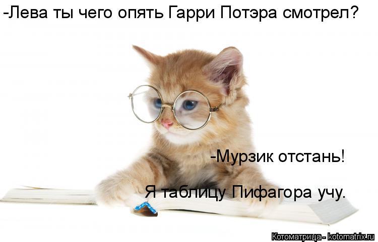 Котоматрица: -Лева ты чего опять Гарри Потэра смотрел? -Мурзик отстань! Я таблицу Пифагора учу.