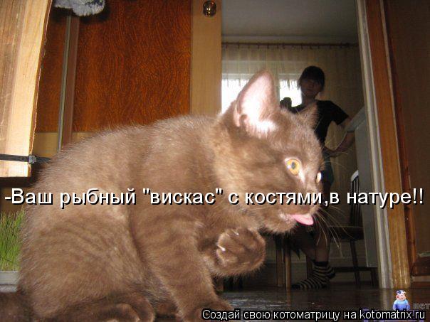 Котоматрица: -Ваш рыбный "вискас" с костями,в натуре!!