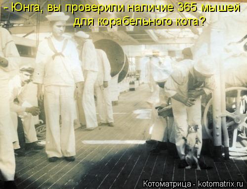 - Юнга, вы проверили наличие 365 мышей для корабельного кота?... Котоматрица: - Юнга, вы проверили наличие 365 мышей для корабельного кота?