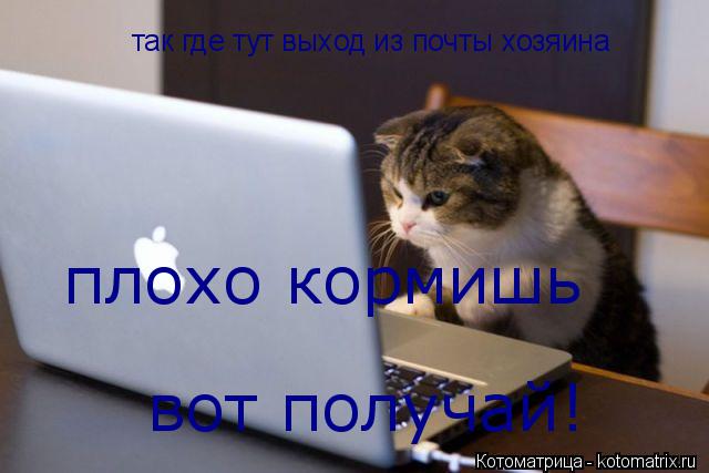 так где тут выход из почты хозяина плохо кормишь вот получай!... Котоматрица: так где тут выход из почты хозяина плохо кормишь вот получай!