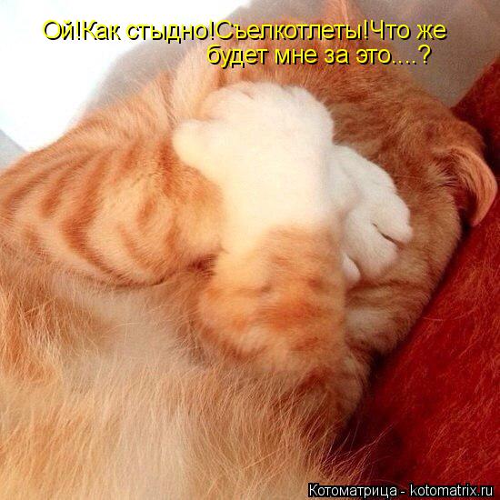 Ой!Как стыдно!Съелкотлеты!Что же будет мне за это....?... Котоматрица: Ой!Как стыдно!Съелкотлеты!Что же будет мне за это....?