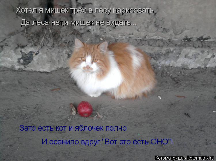 Котоматрица: Хотел я мишек трёх в лесу нарисовать Да леса нет,и мишек не видать... Зато есть кот и яблочек полно И осенило вдруг:"Вот это есть ОНО"!