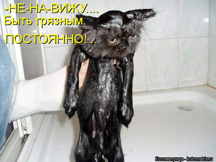 -НЕ-НА-ВИЖУ.... Быть грязным. ПОСТОЯННО! ..... Котоматрица: -НЕ-НА-ВИЖУ.... Быть грязным. ПОСТОЯННО! ..