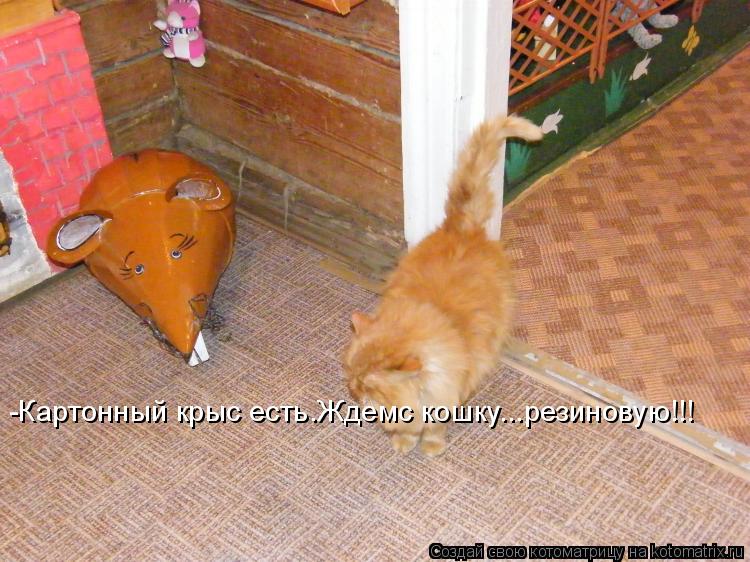 Котоматрица: -Картонный крыс есть.Ждемс кошку...резиновую!!!