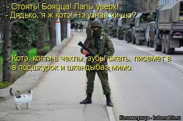 Котоматрица: - Стоять! Бояцца! Лапы уверх! - Дядько, я ж котэ! Нэ узнав чи шо? - Котэ, когти в чехлы, зубы сжать, писемёт в  в подшкурок и шкандыбаэ мимо.