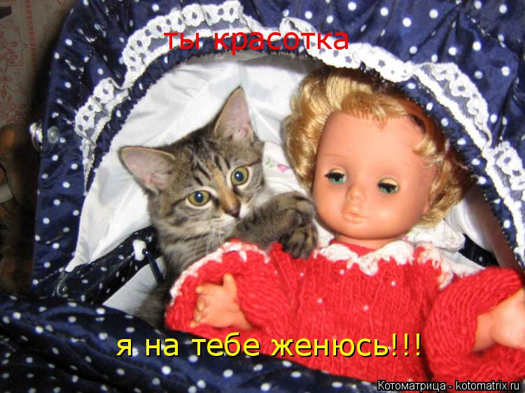 Котоматрица: ты красотка  я на тебе женюсь!!!