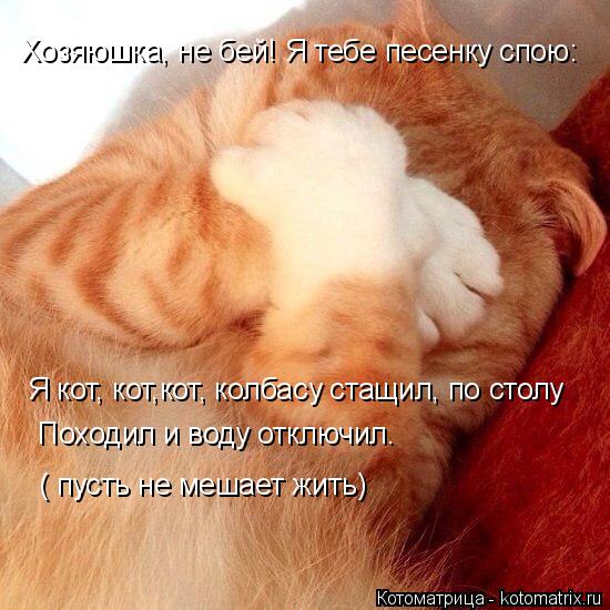 Котоматрица: Хозяюшка, не бей! Я тебе песенку спою: Я кот, кот,кот, колбасу стащил, по столу Походил и воду отключил. ( пусть не мешает жить)