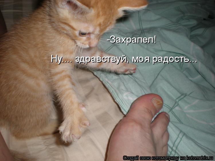 Котоматрица: Ну.... здравствуй, моя радость... -Захрапел!