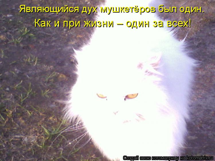 Котоматрица: Являющийся дух мушкетёров был один. Как и при жизни – один за всех!