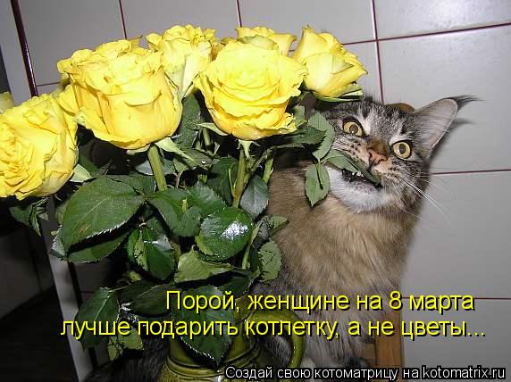 Котоматрица: Порой, женщине на 8 марта  лучше подарить котлетку, а не цветы...