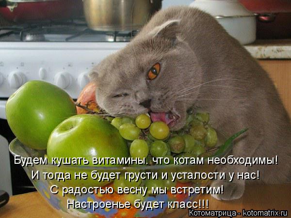 Будем кушать витамины. что котам необходимы! И тогда не будет грусти и усталости у нас! С радостью ве... Котоматрица: Будем кушать витамины. что котам необходимы! И тогда не будет грусти и усталости у нас! С радостью весну мы встретим! Настроенье будет класс!